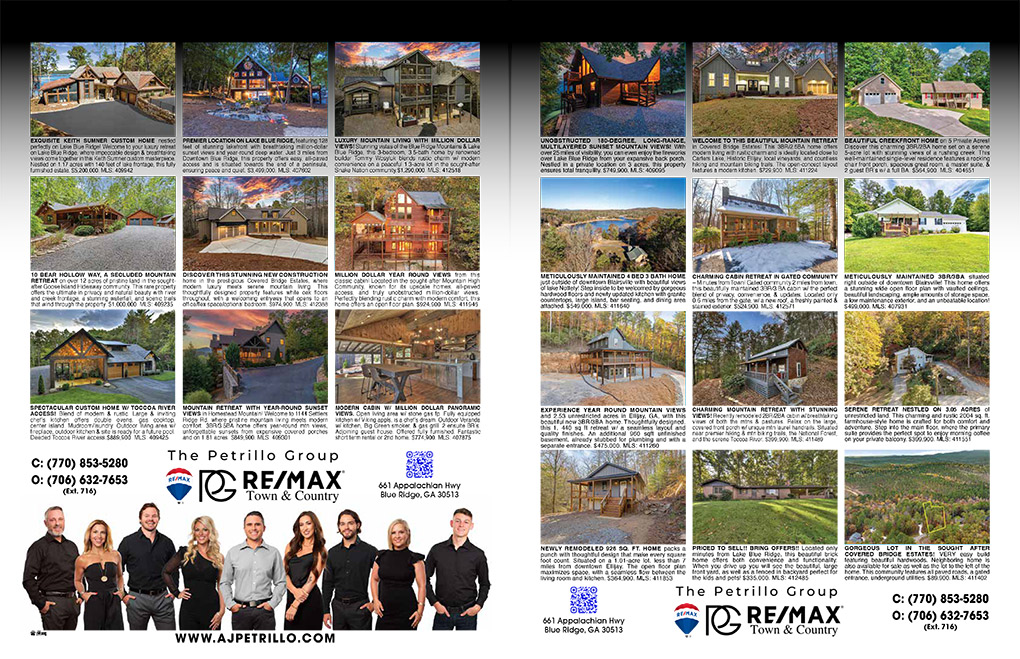 Petrillo Group